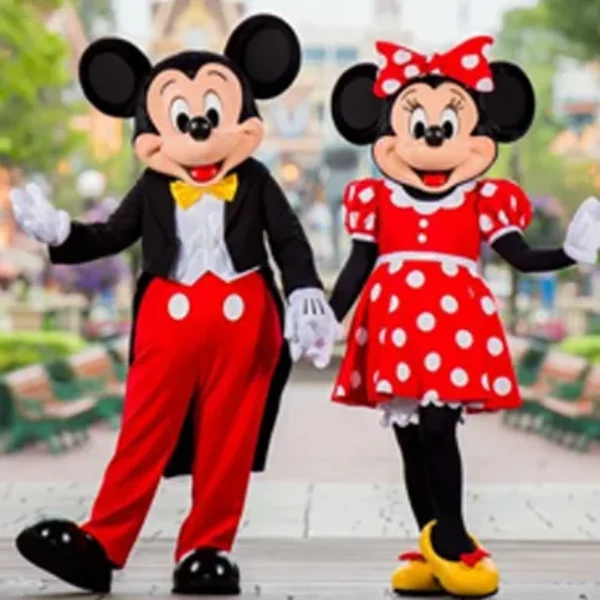 Mickey Mouse Cartoon Combo