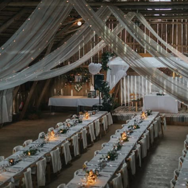 Untitled design (94)